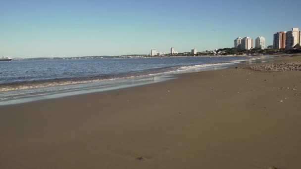Strand Mit Gebäuden Und Boot Punta Del Este Uruguay — Stockvideo