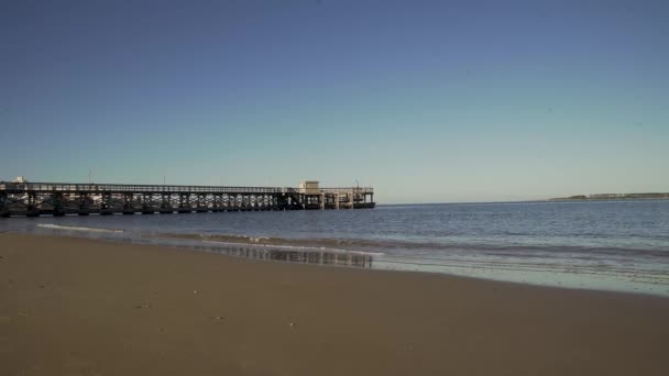 Paseo Marítimo Por Playa Punta Del Este Uruguay — Vídeos de Stock