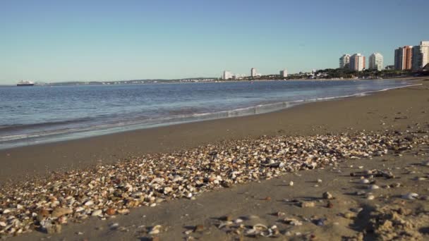 Punta Del Este Strand Mit Boot Und Stadt Hintergrund Uruguay — Stockvideo