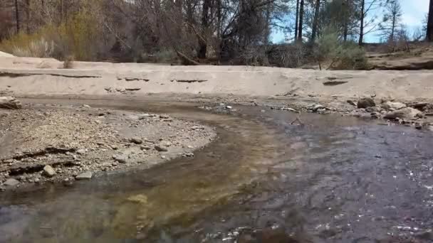 几年前加利福尼亚Idyllwild附近的一片树林被大火烧毁时 还有一条小溪的镜头 — 图库视频影像