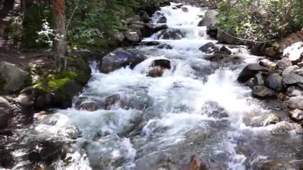 Nienazwany Wodospad Przy Drodze 4X4 Niedaleko Georgetown Kolorado Połową Prędkości — Wideo stockowe