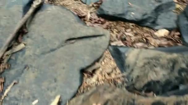 Прыжки Больших Черных Скалах Вид Пейзаж — стоковое видео