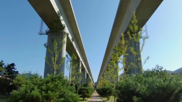 Ein Ruhiger Park Und Eine Große Brücke — Stockvideo