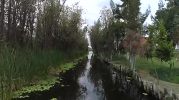 Gedaan Passeren Door Xochimilco Kanaal Mexico — Stockvideo