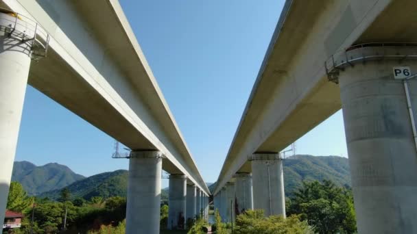 Deux Ponts Qui Semblent Être Perspective — Video