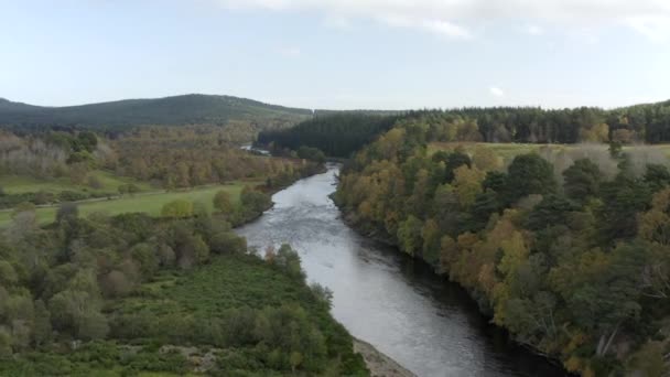 阿伯丁郡凯恩斯哥尔斯国家公园苏格兰巴拉特镇附近迪河的空中景观 飞越田野和河流 — 图库视频影像