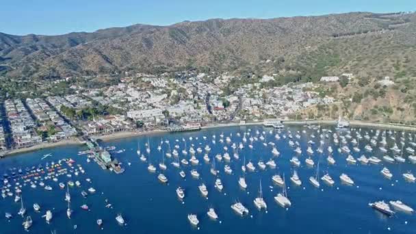 Catalina Island Port Niebieski Ocean Tropikalne Plaże Widok Drona — Wideo stockowe