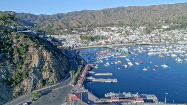 Pemandangan Udara Catalina Island Spectacular Dari Pelabuhan — Stok Video