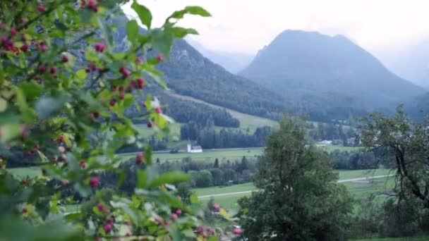 Biały Kościół Słowenii Położony Pobliżu Mojstrana Pochmurny Dzień Zielonymi Polami — Wideo stockowe
