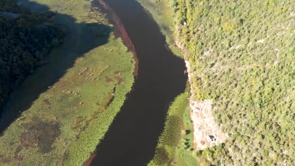 Karadağ Daki Skadar Gölü Nün Güzel Güneşli Bir Günde Nehrin — Stok video