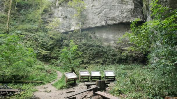 Mann Som Går Gjennom Pokljuka Gorge Slovenia Våren Triglav Nasjonalpark – stockvideo