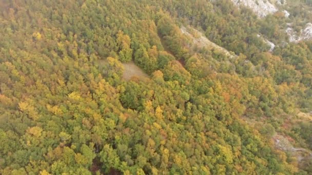 Flygbilder Lovcen National Park Och Black Lake Med Fantastiska Höstfärger — Stockvideo