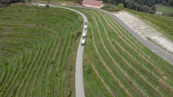 Carros Furgonetas Que Atravessam Região Vinícola Jeruzelum Eslovénia Uma Perspectiva — Vídeo de Stock