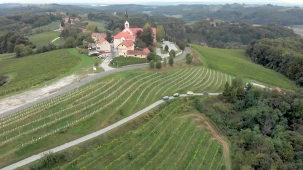 Slovenya Nın Jeruzelum Kentindeki Şarap Bölgesine Hava Perspektifinden Arabalar Kamyonlar — Stok video