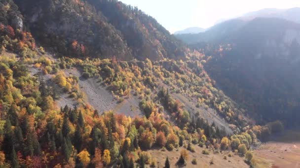 Vista Aérea Increíbles Colores Otoñales Parque Nacional Durmitor Montenegro Valle — Vídeos de Stock