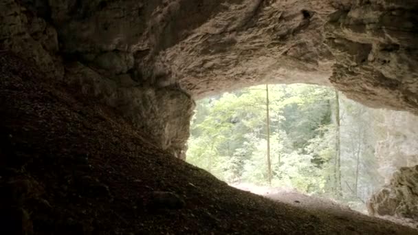 Pokljuka Gorge Highest Plateau Slovenia Located Triglav National Park Walking — Stock Video