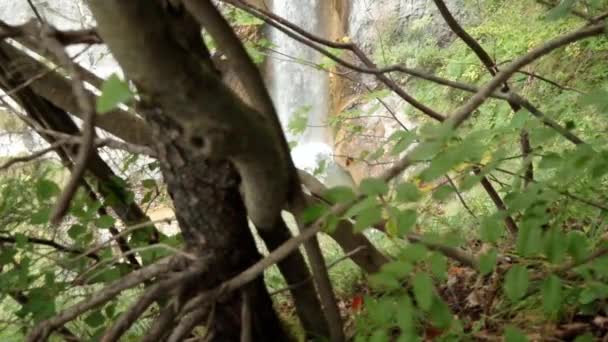 Vue Sur Village Gozd Martuljek Slovénie Avec Belle Nature Forêt — Video