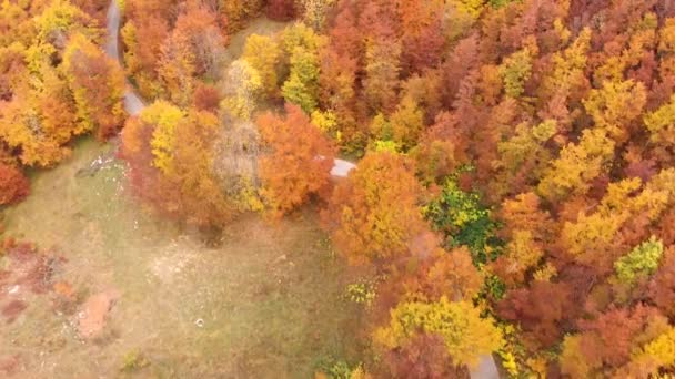 Vista Aérea Estradas Incríveis Através Parque Nacional Durmitor Montenegro Cheio — Vídeo de Stock