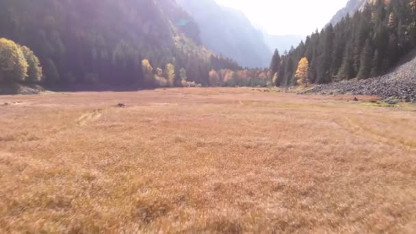 Вид Воздуха Невероятные Осенние Цвета Национальном Парке Дурмитор Черногории Долина — стоковое видео