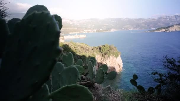 Staré Město Budva Černé Hoře Pobřeží Jaderského Oceánu Slunečného Dne — Stock video