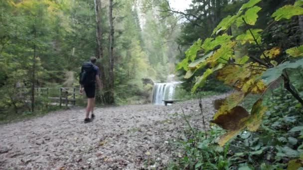 Homme Qui Explore Cascade Martuljek Pendant Journée Gozd Martljek Slovénie — Video