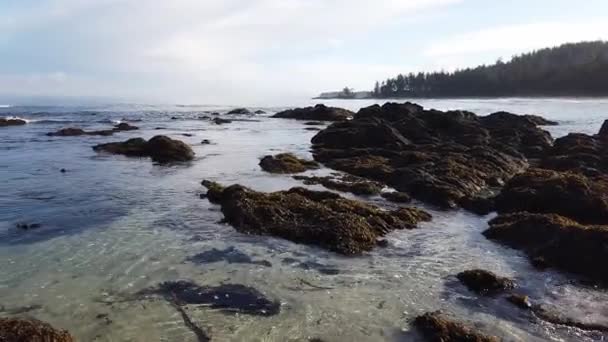 Zdjęcie Panoramiczne Płytkiego Obszaru Plaży Cape Scott Wyspie Vancouver — Wideo stockowe