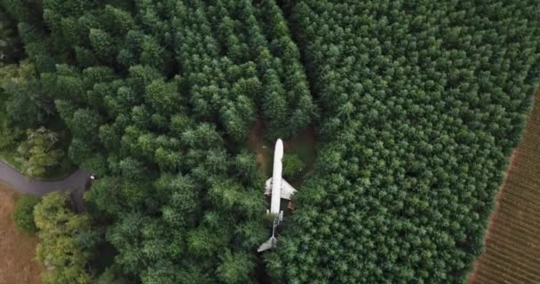 Escena Única Avión Comercial Aterrizado Oculto Bosque Vista Aérea Arriba — Vídeos de Stock