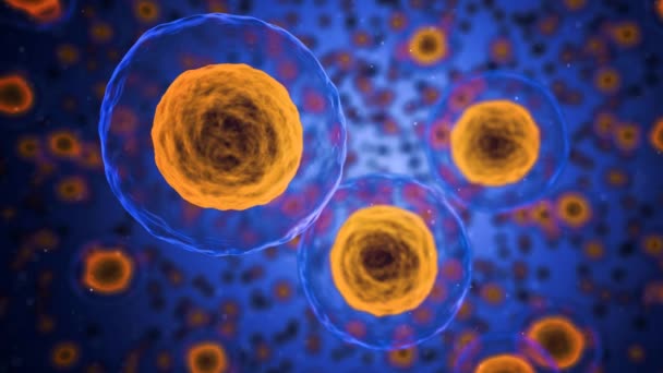 体内の活性細胞のシネマグラフ背景 — ストック動画