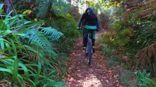 Пара Активных Велосипедистов Катающихся Горных Велосипедах Склонной Тропе Лесном Лесу — стоковое видео