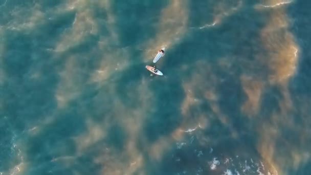 Dos Surfistas Golpeando Carrera Matutina Cuando Combina Amanecer Las Olas — Vídeo de stock
