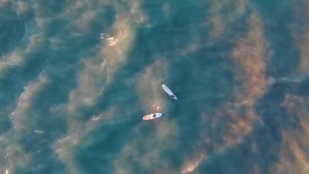 Dwóch Surferów Porannym Biegu Kiedy Połączysz Wschód Słońca Fale Jeziora — Wideo stockowe