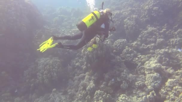 Mergulhador Loiro Feminino Nadando Sobre Recife Coral Nas Maldivas — Vídeo de Stock