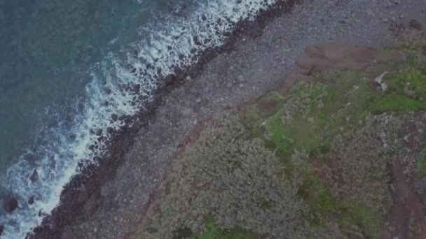 Niemand Vogelperspektive Auf Eine Friedliche Meereslandschaft Mit Vulkanischem Kieselsteinstrand Grüner — Stockvideo