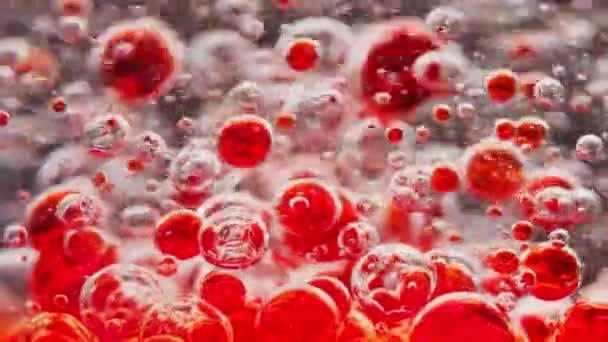 Makroaufnahme Roter Blasen Die Sich Wasser Vermischen Und Sich Bewegen — Stockvideo