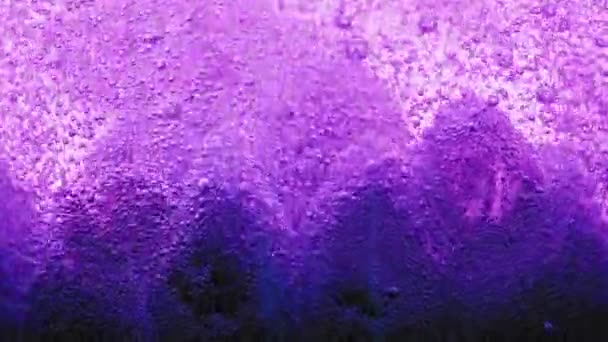 Макро Выстрел Больших Фиолетовых Пузырьков Земле Воды Много Маленьких Пузырьков — стоковое видео