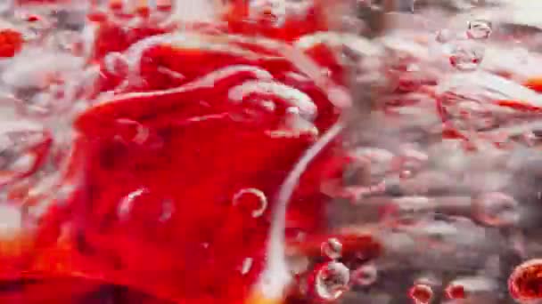 Makroaufnahme Roter Blasen Die Mit Einem Stock Wasser Gemischt Werden — Stockvideo
