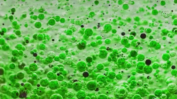 緑色と黒色の泡のマクロショットは光を背景に水の中をゆっくりと動き回り — ストック動画