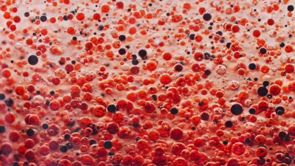 许多红黑相间的气泡缓缓沉入水中的宏观镜头 — 图库视频影像