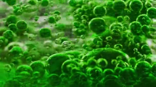 Makroaufnahme Eines Bündels Grüner Blasen Wasser Die Sich Ständig Bewegen — Stockvideo