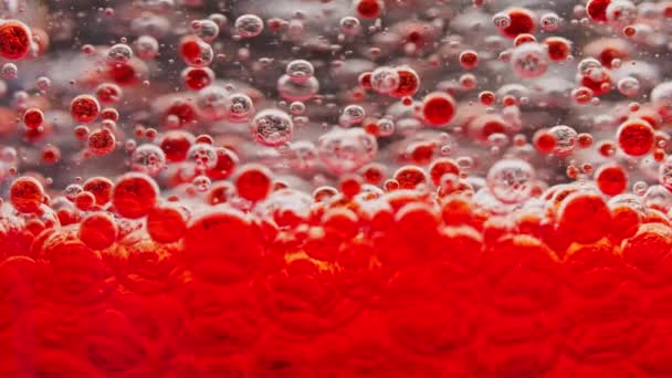 Macro Disparo Muchas Burbujas Rojas Que Establecen Suelo Agua — Vídeo de stock