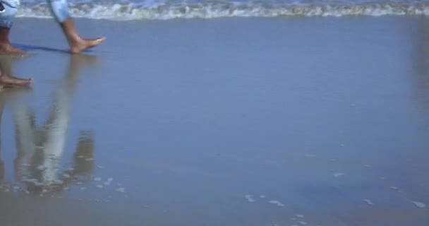 Lato Plaża Wyspie Assateague Virginia — Wideo stockowe