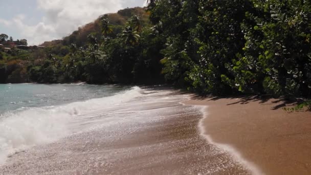 Stranden King Bay Tobago Västindien — Stockvideo