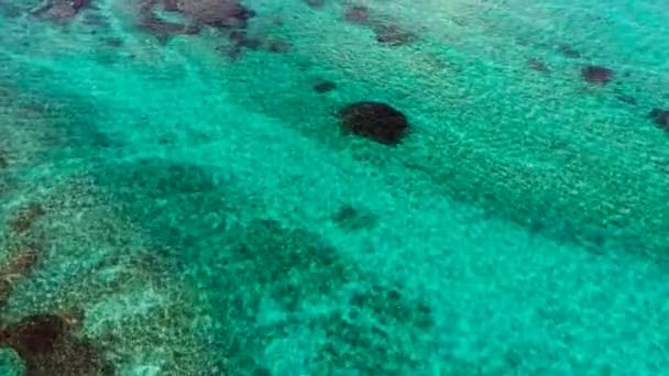 Barevné Skály Korály Rostoucí Mořském Dně Křišťálově Čistou Modrou Vodou — Stock video