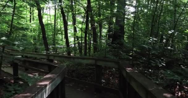 Bellissimo Sentiero Lungo Lungomare Sulla Riva Del Lago Rosa Gatineau — Video Stock