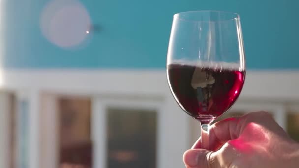 Hand Håller Och Roterar Rött Vin Till Glas Närbild Långsamma — Stockvideo