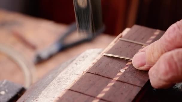 Gitar Artisan Memasukkan Frets Untuk Fret Board Dan Trims Dengan — Stok Video