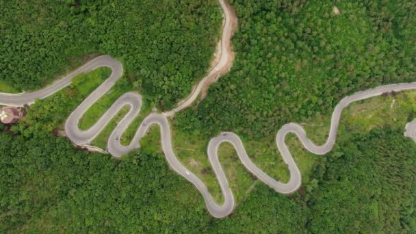 Bir Hayvan Organı Gibi Kıvrımlı Bir Yol — Stok video