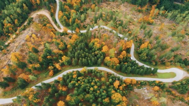 Drone Mirando Directamente Desde Perspectiva Ojo Pájaro Con Hojas Otoño — Vídeo de stock