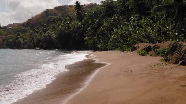 Sandstrand Kings Bay Tobago West Indies — Stockvideo