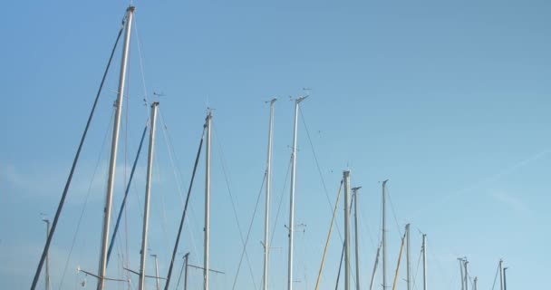一排排的帆船在晴朗的蓝天上 — 图库视频影像